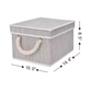Storageworks Bins with Double Open Lid (40 L)